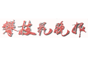 攀枝花晚報(bào)遺失登報(bào)、登報(bào)掛失_攀枝花晚報(bào)登報(bào)電話找我要登報(bào)網(wǎng)