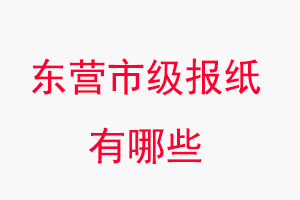 東營報紙有哪些,東營市級報紙有哪些找我要登報網(wǎng)