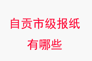 自貢報紙有哪些,自貢市級報紙有哪些找我要登報網