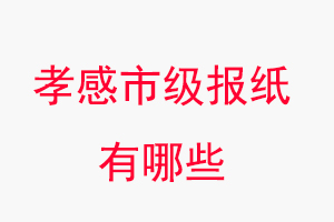 孝感報紙有哪些,孝感市級報紙有哪些找我要登報網