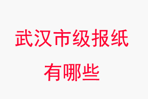 武漢報紙有哪些,武漢市級報紙有哪些找我要登報網