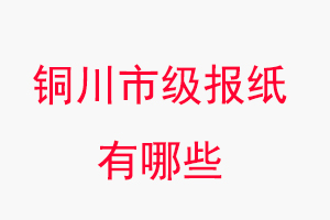 銅川報紙有哪些，銅川市級報紙有哪些找我要登報網