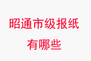 昭通報紙有哪些，昭通市級報紙有哪些找我要登報網(wǎng)
