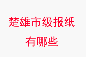 楚雄報紙有哪些,楚雄市級報紙有哪些找我要登報網