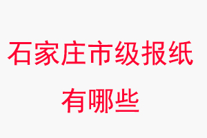 石家莊報紙有哪些,石家莊市級報紙有哪些找我要登報網