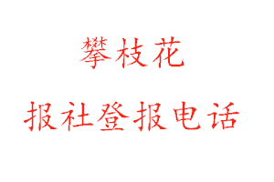 攀枝花報社登報，攀枝花報社登報電話找我要登報網